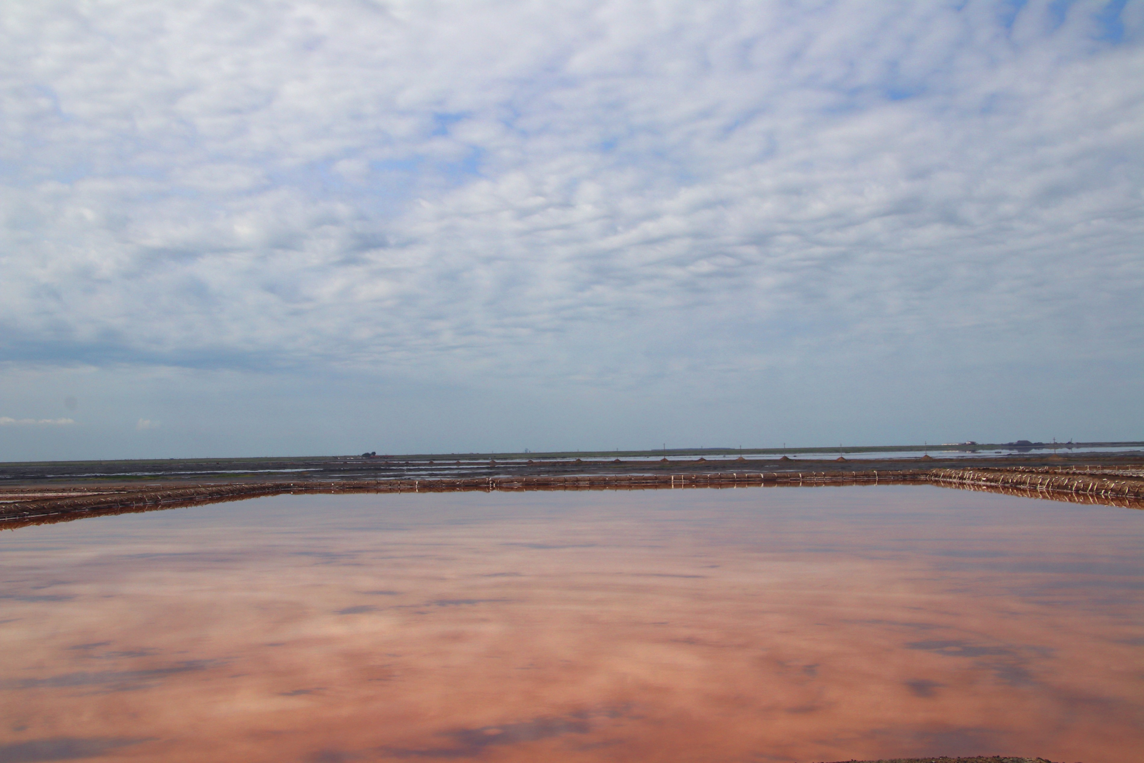 內(nèi)蒙古額吉淖爾制鹽有限公司真空精制鹽鹽蒸發(fā)系統(tǒng)維修項(xiàng)目采購中標(biāo)公示