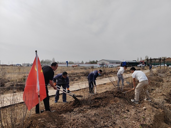 額鹽公司組織開展“凝心聚力促發(fā)展，實(shí)干擔(dān)當(dāng)建新功”植樹活動(dòng)