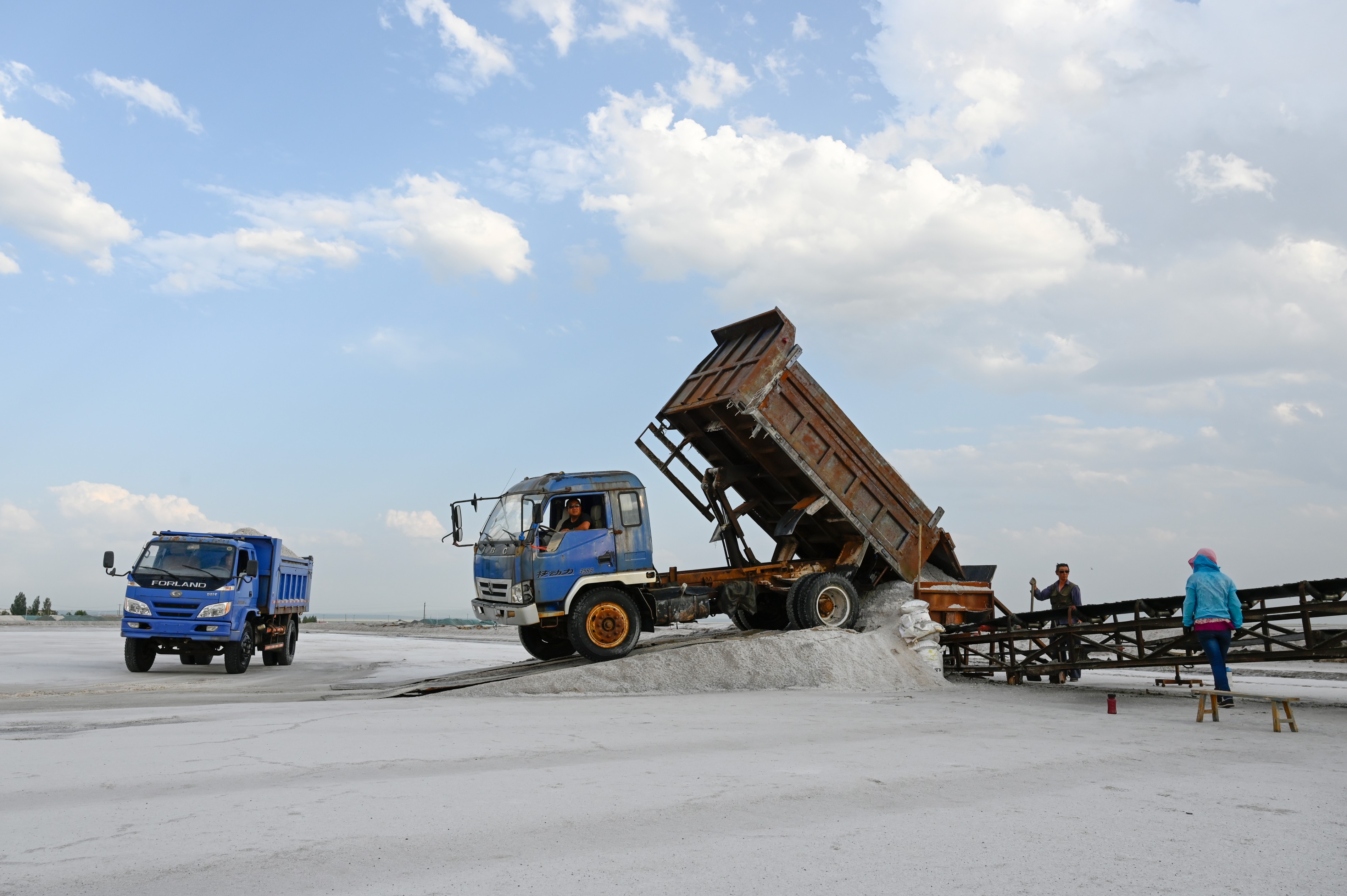 內(nèi)蒙古額吉淖爾制鹽有限公司2024年勞務(wù)服務(wù)采購(gòu)項(xiàng)目第二標(biāo)段：餐飲、保潔服務(wù)【網(wǎng)上競(jìng)價(jià)】（第1次重新采購(gòu)）